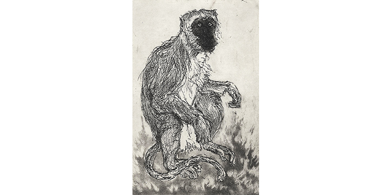 Year of the Fire Monkey